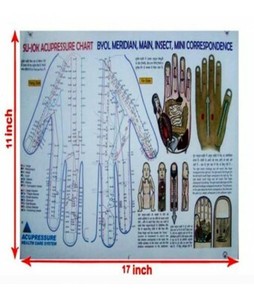 Sujok Therapy Chart