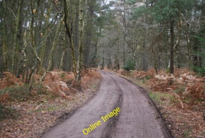 Photo 6x4 New Lipchis Way, Stanley Common Newtown/SU8430  c2013