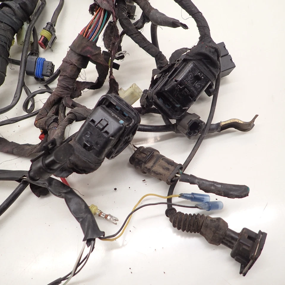 Arnés de cableado principal Ducati 1098 (dañado) Foto 2 de 4