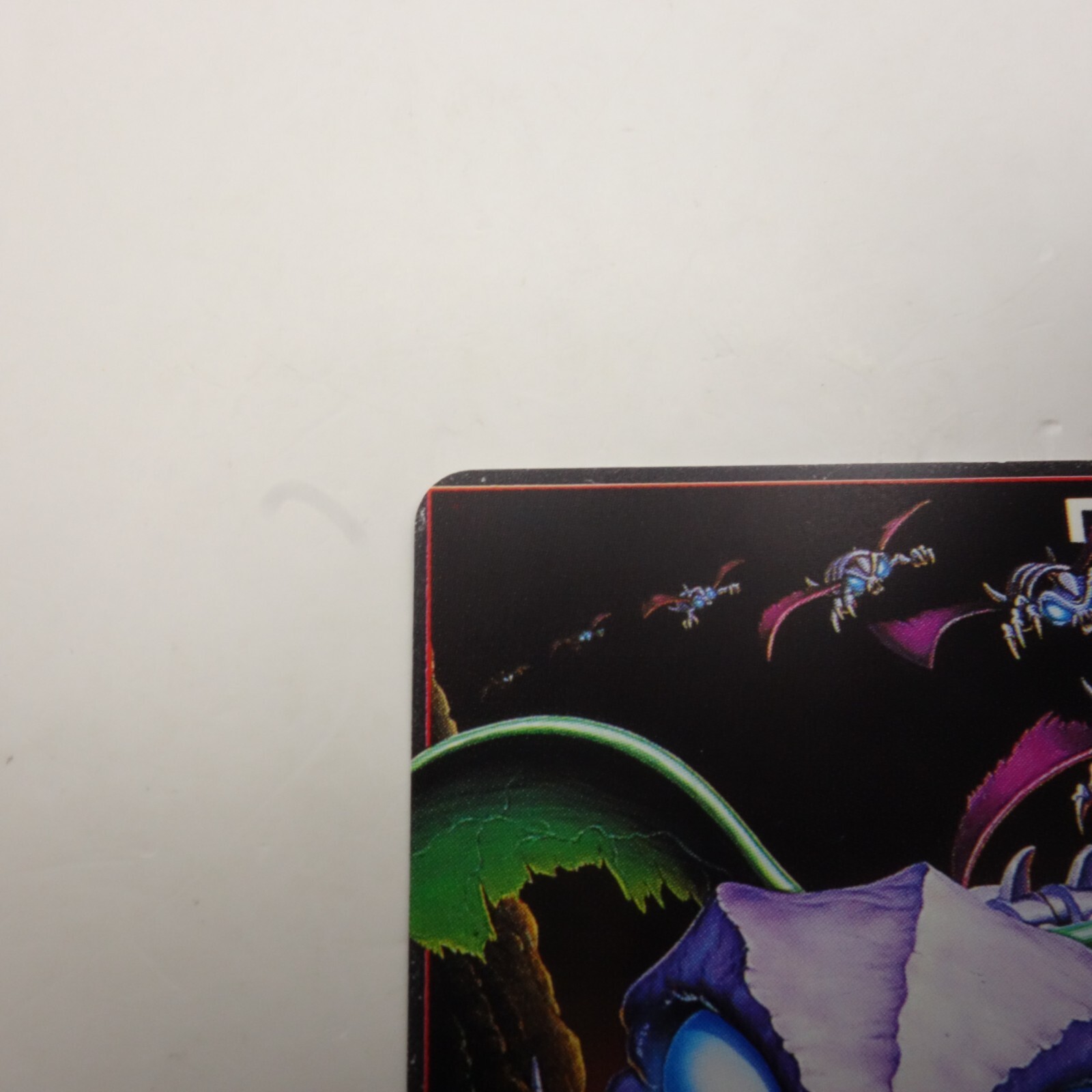 Picture 3 of 6