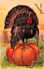 Thanksgiving Card Large Pumpkin Turkey Taggart 3 prong fork Vtg Postcard F18