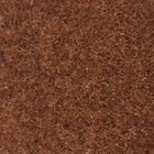 Foto 12 di 31