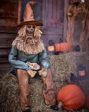 Spirit Halloween 4 Ft 6 in Scary Spooky Sitting Scarecrow Animatronic Multicolor