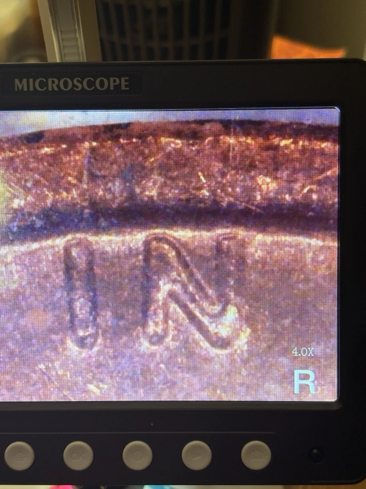 1972 1 Cent DOUBLE DIE OBVERSE FS-104 #4 - Image 2 of 4