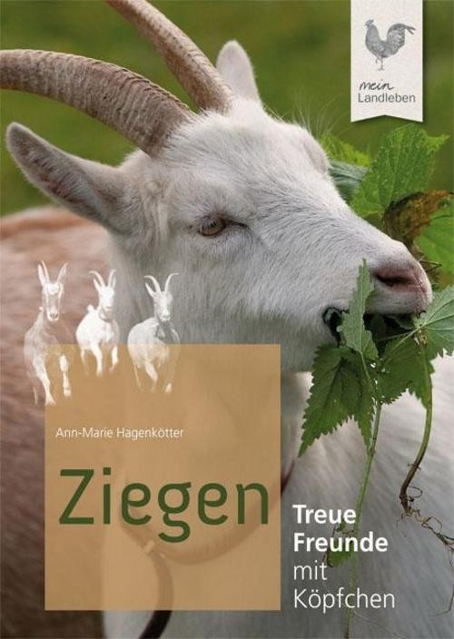 Ziegen Ann-Marie Hagenkötter