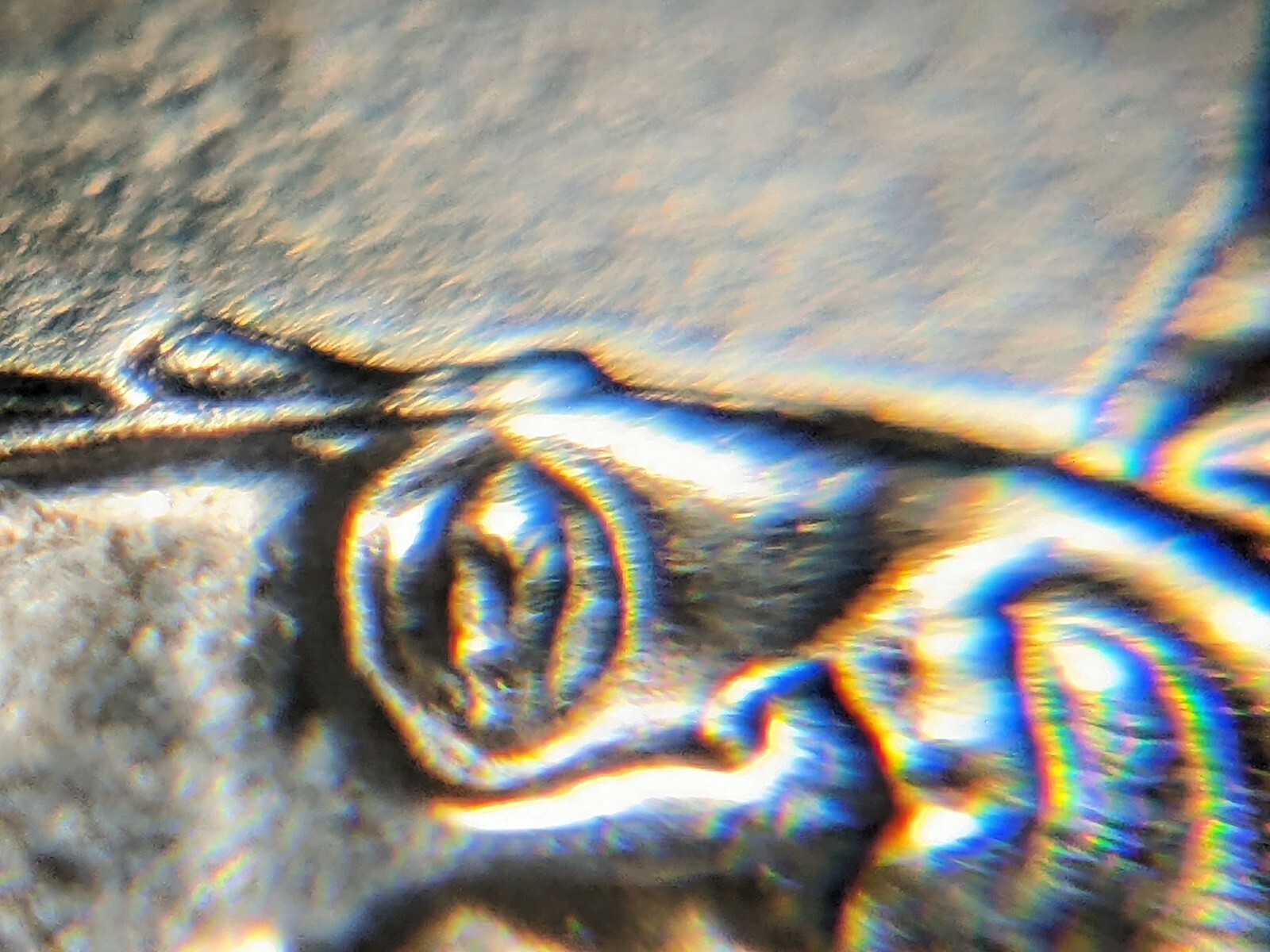 Picture 5 of 12