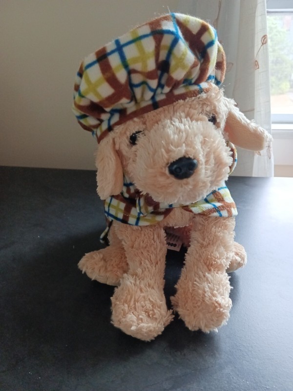 Vtg Ty Golden Retriever Puppy Dog 12" Plush, Silk Shell w/Ikea Gosig Tam & Coat