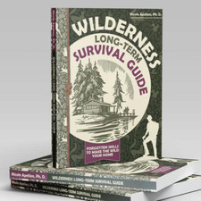 Wilderness Long-Term Survival Guide: Forgotte...