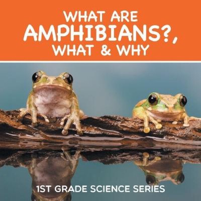 What Are Amphibians?, What & Why: 1st Grade Science Series by Baby Professor