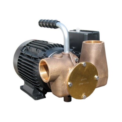Jabsco P80 230 V Allzweckpumpe schwarz Wasser WC Abfall Transfer 1,5 Bar 80 LPM