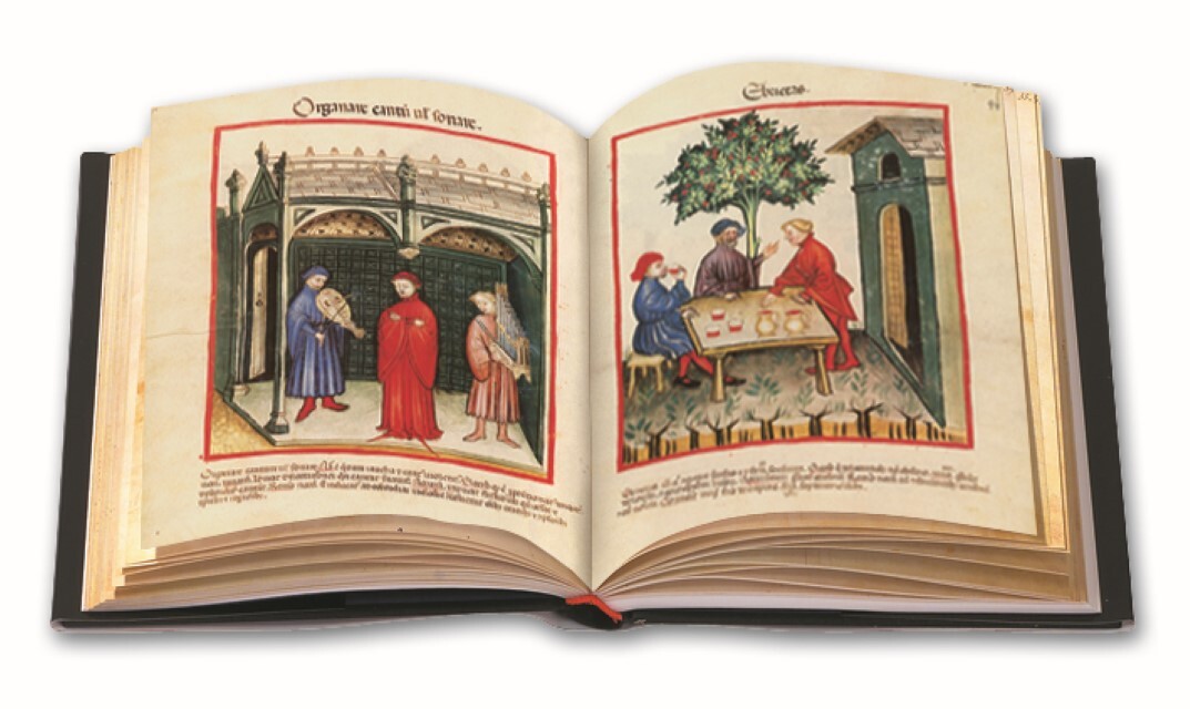 Thumbnail - Tacuinum Sanitatis In Medicina Franz Unterkircher
