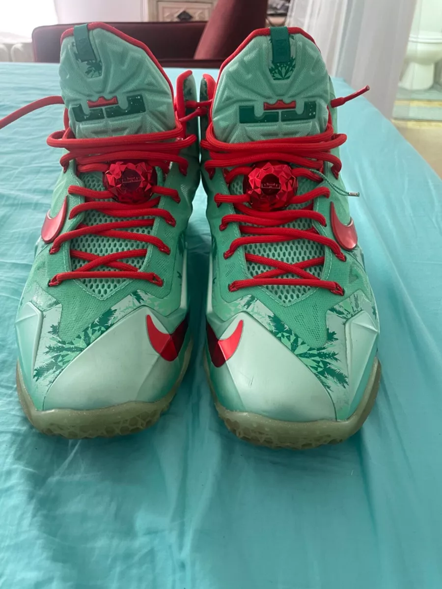 Lebron 11 on sale