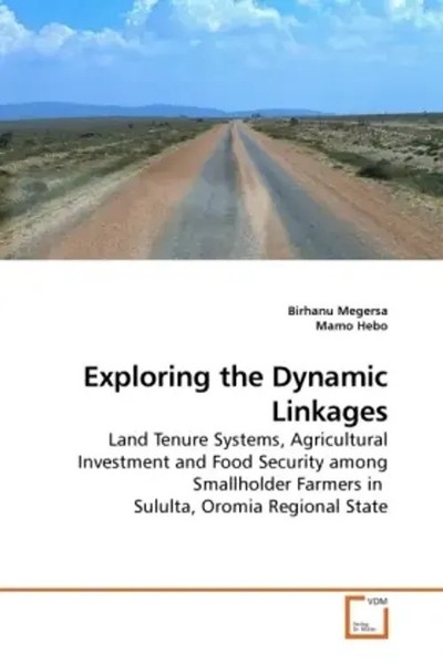 Birhanu Megersa (U. A.) | Exploring The Dynamic Linkages | Taschenbuch-image