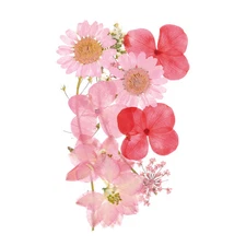 Dried Pressed Flowers Real Dry Leaves Pressed Flowers for DIY Crafts Pink