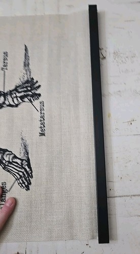 EARTHBOUND HUMAN ANATOMY TAPESTRY (SKELETON) 52.5 X 18 - Picture 4 of 7