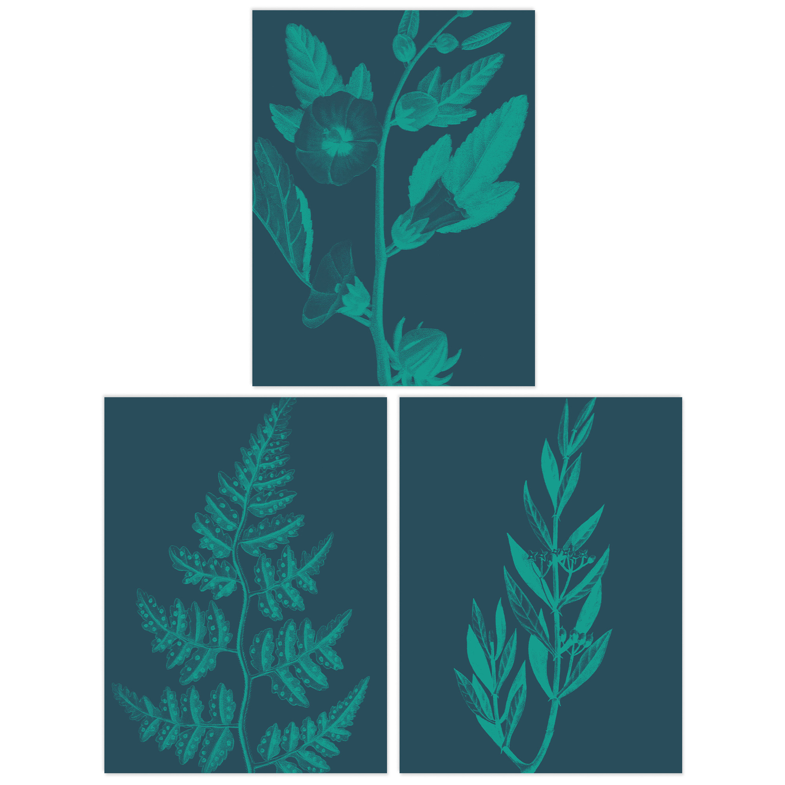 Pack of 3 Teal Leaves Plant Botanical Unframed Art Prints Set A4