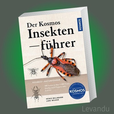 Der KOSMOS Insektenführer | 900 Arten, häufig auch Puppen oder Larven