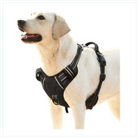 Hundegeschirr Brustgeschirr Nylon Reflektierend Sportlich