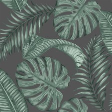 Skinny Dip London Dominica Black Green Wallpaper Palm Leaf Jungle Tropical