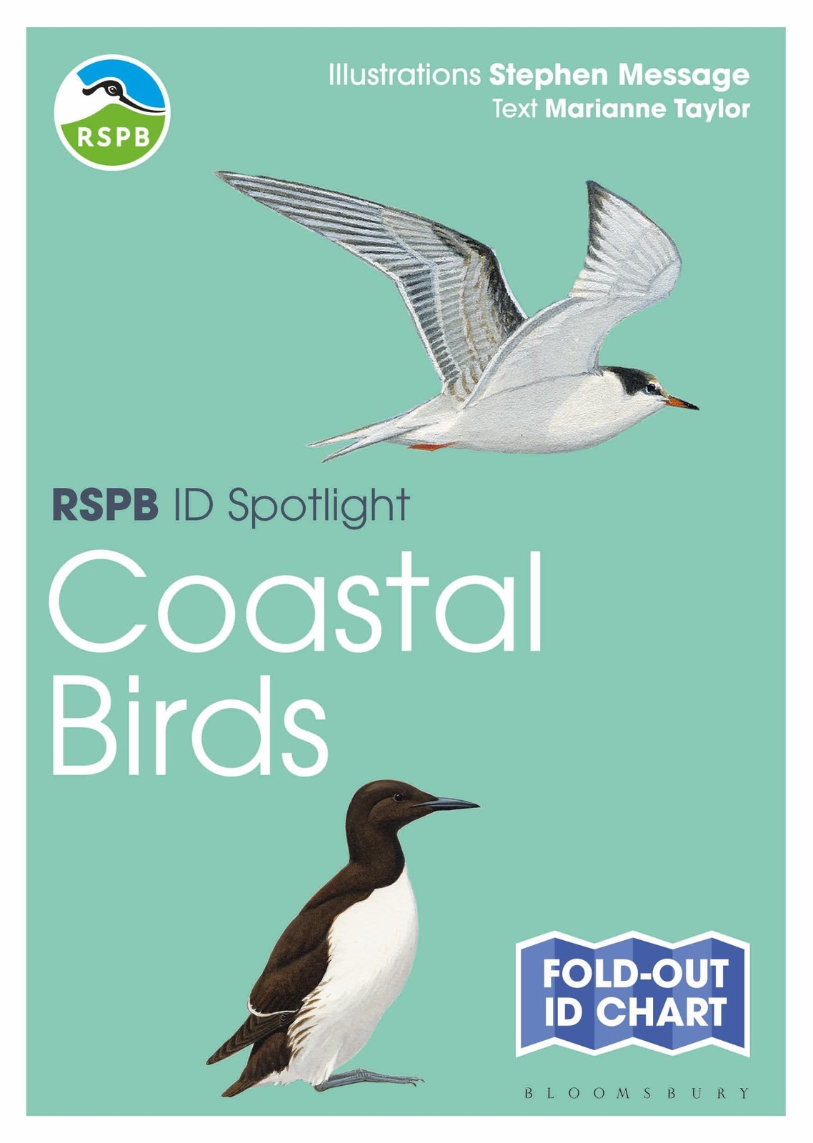 RSPB ID Spotlight - Coastal Birds,Marianne Taylor, Stephen Messa