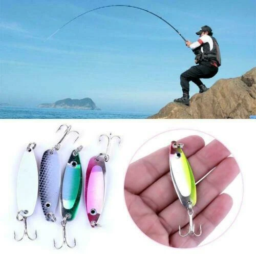 Markenlose Angelsport-Köder - & Futtermittel für alle Salzwasserfische