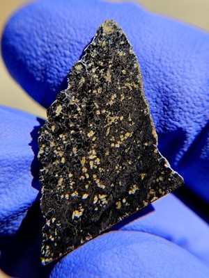 Meteorite**NWA 479, Lunar Mare Basalt**0.610 gram, WORLD-FAMOUS Ultra Rare!   