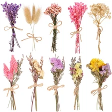 10 Pack Dried Flower Bouquets Various Dried Flower Combinations with Stem Min...