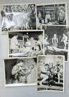 TFL JUNGLE JIM JIM DELLA GIUNGLA 22 FOTO 26x20 CM PUBLICITY SHOTS WEISSMULLER