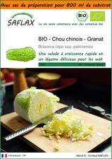 SAFLAX Jardin dans le sac - BIO - Chou chinois - Granat - 40 graines - Brassica