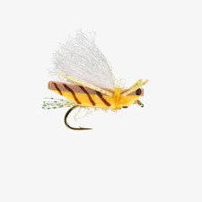 RIO's Blade Runner Hopper (12 Pack)