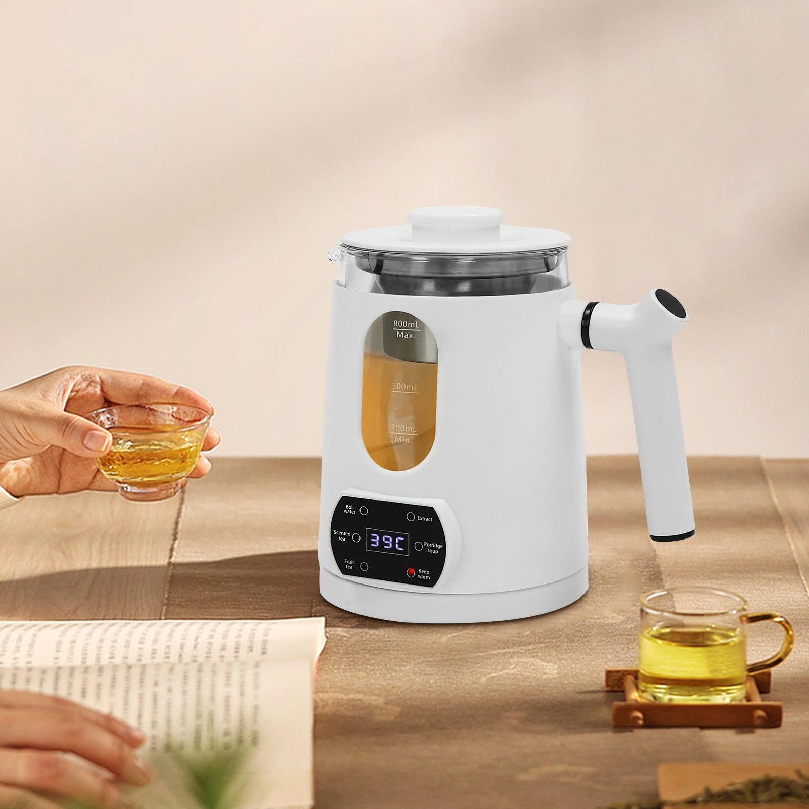 Temperature Control Electric Tea Kettle Water Boiler & Heater Electric Kettle