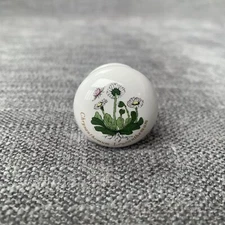 Portmeirion Botanic Garden White Daisies Ceramic 1.25” Drawer Knob Pulls Vintage