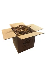 Duck feet for dogs cats chews 8.8 pound (about 250 pieces)