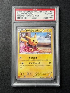 Pikachu Warm | eBay