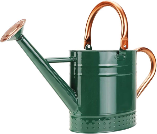1 Gallon Metal Watering Can with Removable Spout, Nice Galvanized Steel Water Ca - Picture 8 of 12