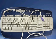 Microsoft Natural Multimedia Keyboard 1.0A Ergonomic KB-0168 X08-76066 Blue