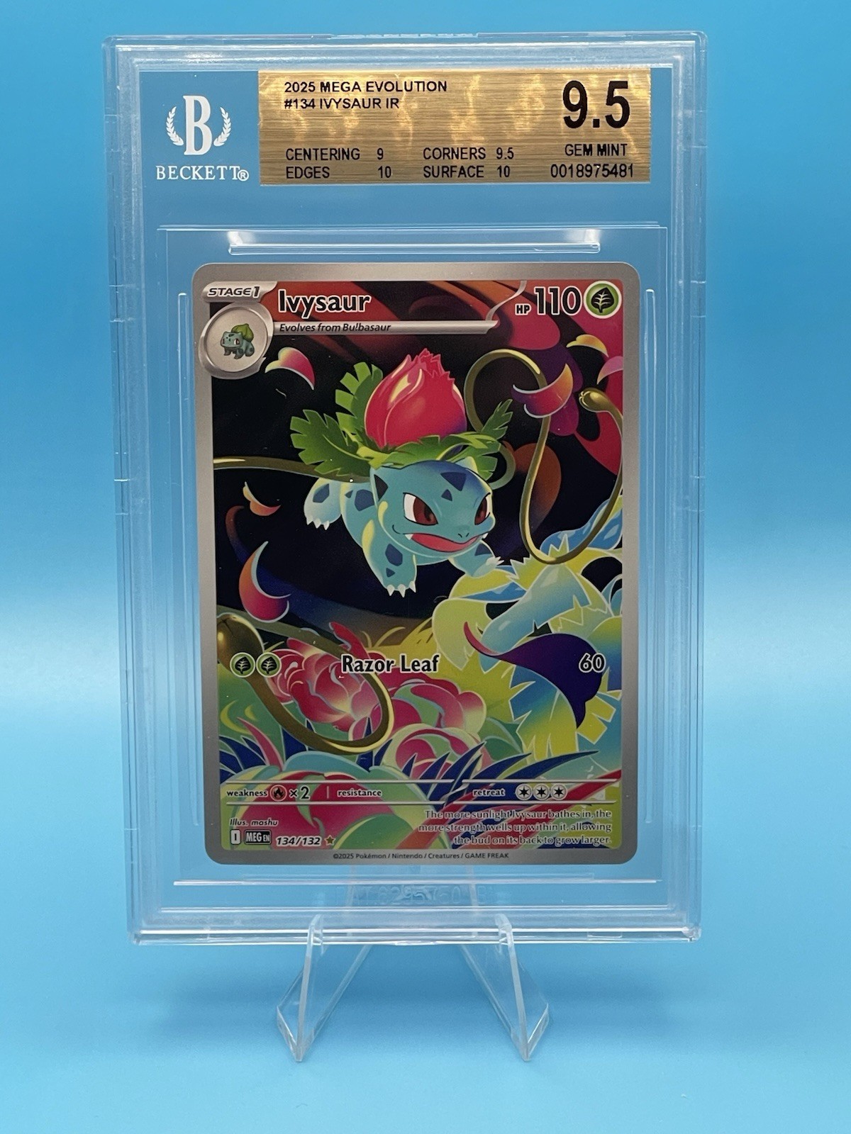 Ivysaur 134/132 Me01: Mega Evolution Holo BGS 9.5 GRADEd Pokemon
