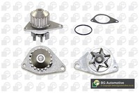 BGA Wasserpumpe FüR CitroëN Berlingo Kasten C2 Peugeot 206 SchräGheck 206+