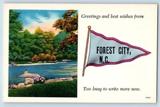 Forest City North Carolina NC Postcard Greetings Best Wishes Forest City Pennant