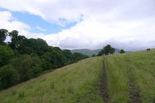 Photo A3 The Dales Way, looking east to the Howgills Beck Foot/SD6196 T c2016