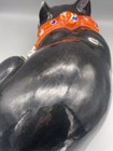 Foto 7 di 10