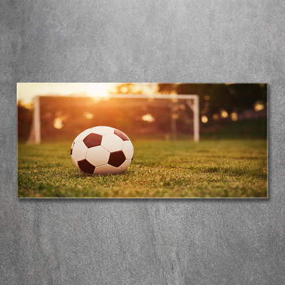 Glas-Bild Wandbilder Druck auf Glas 120x60 Deko Sport Ball auf Rasen