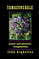 IváN ArgüElles | Tamazunchale | Taschenbuch | Englisch (2021)
