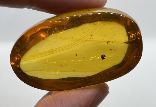 Nice 16 gram fossil amber with multiple insects - Dominican Republic - Picture 5 of 8
