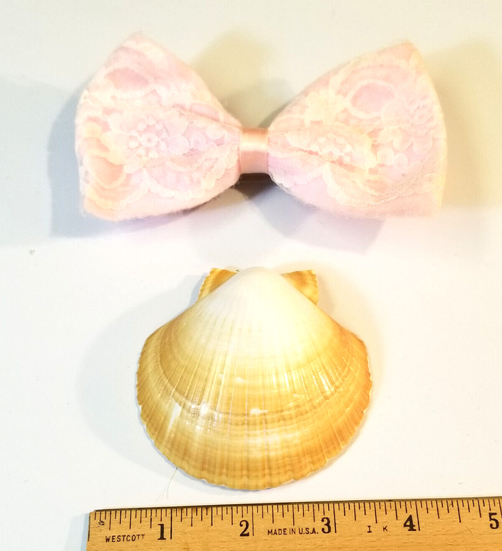 LITTLE GIRL'S HAIR BOW CLIP and PRETTY SHELL