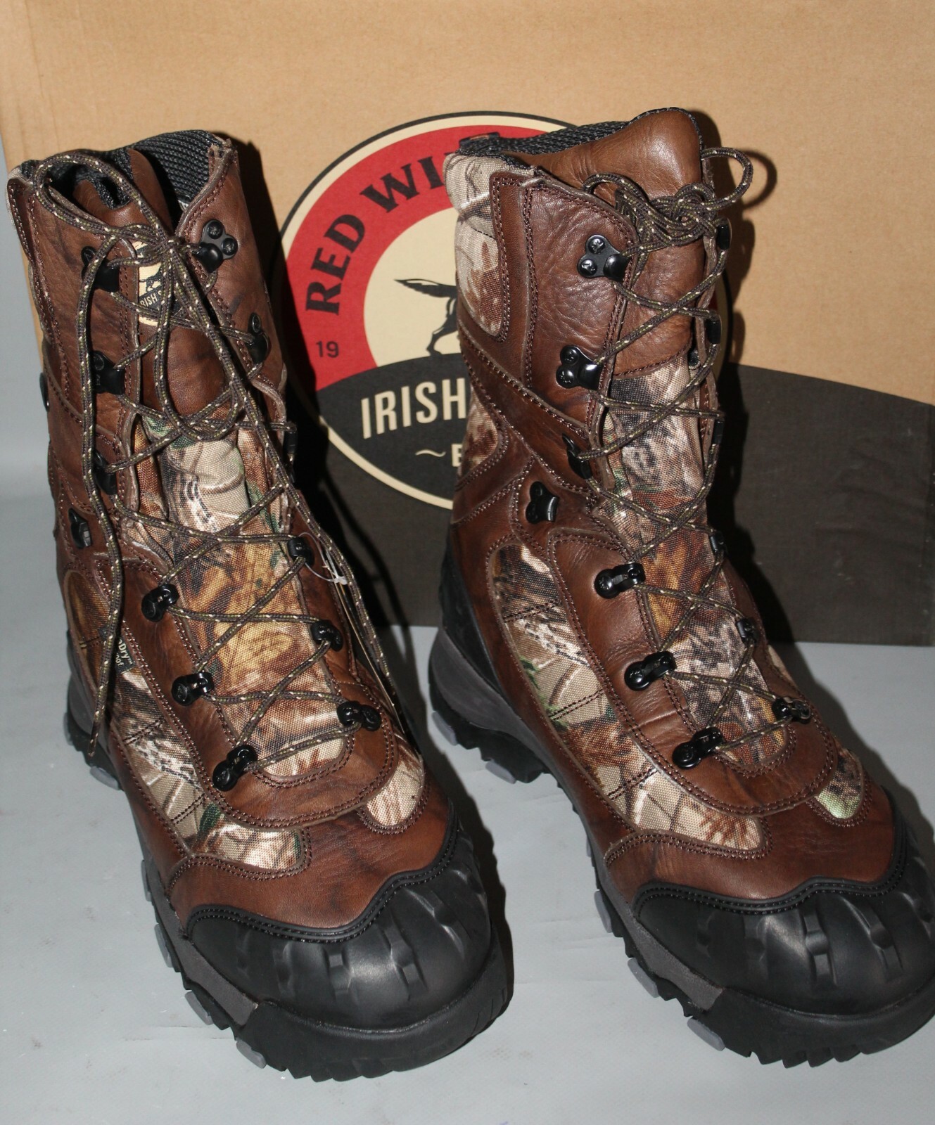 irish setter 3888