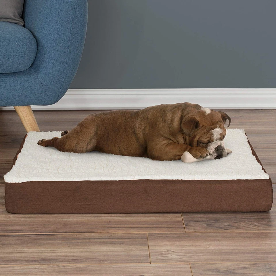 Medium Brown Memory Foam Dog Bed for Medium Dogs 30x20 Washable Cover - Image 2 of 4