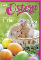 Ostern - GlüCkwunschkarte Im Format 11,5 X 17 Cm Mit Umschlag - Schlafende HäSch
