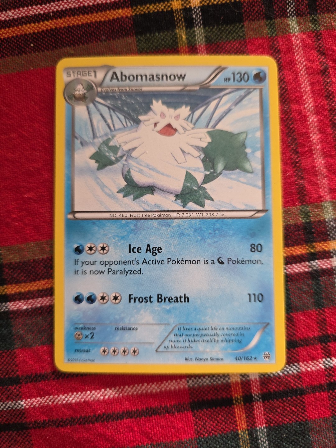 Pokémon TCG Abomasnow Breakthrough 40/162 Regular Rare LP