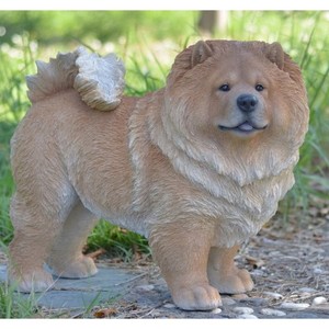 chow chow large breed